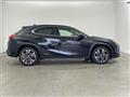 2019 Lexus Other