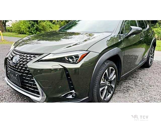 2019 Lexus Other