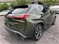 2019 Lexus Other