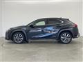 2019 Lexus Other