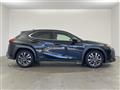 2019 Lexus Other