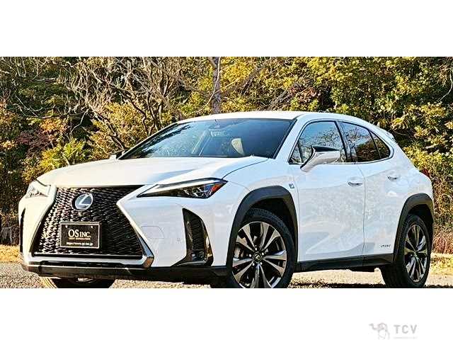 2019 Lexus Other