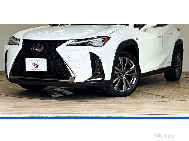 2019 Lexus Other