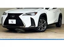2019 Lexus Other