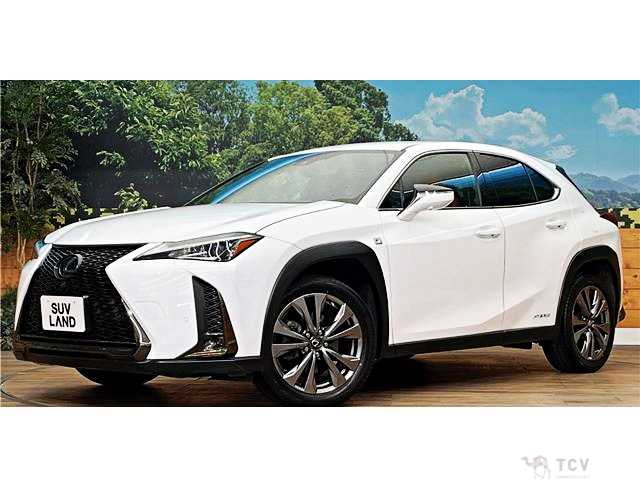 2019 Lexus Other