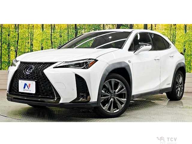 2019 Lexus Other
