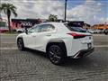 2019 Lexus Other