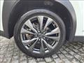 2019 Lexus Other