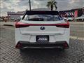 2019 Lexus Other