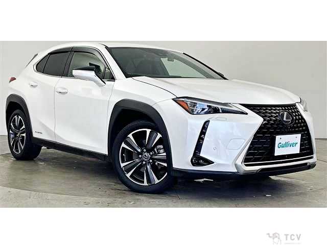 2019 Lexus Other