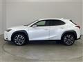 2019 Lexus Other