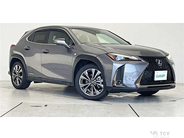 2019 Lexus Other