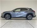 2019 Lexus Other
