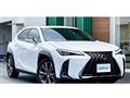 2019 Lexus Other