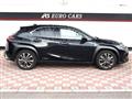 2019 Lexus Other