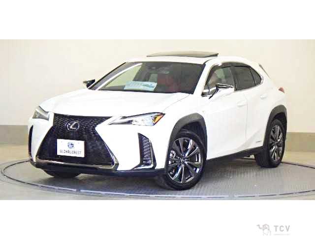 2019 Lexus Other