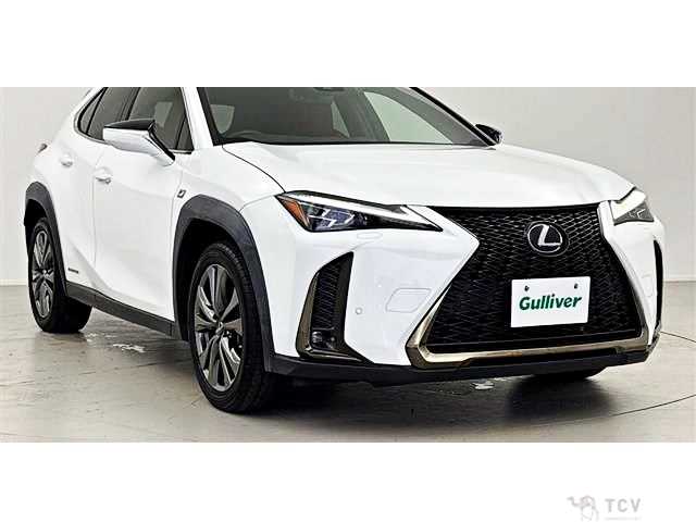 2019 Lexus Other
