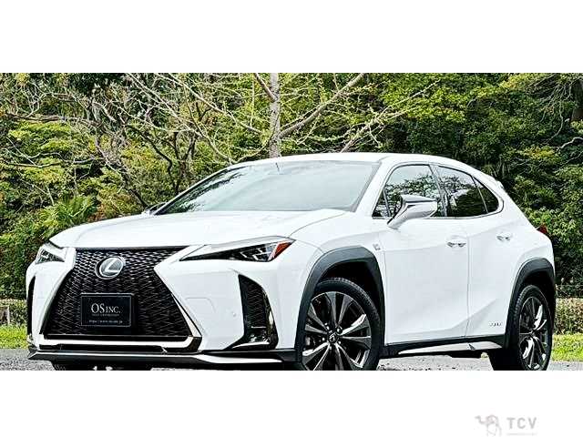 2019 Lexus Other