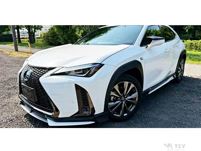 2019 Lexus Other