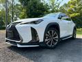 2019 Lexus Other