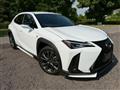 2019 Lexus Other