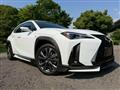 2019 Lexus Other