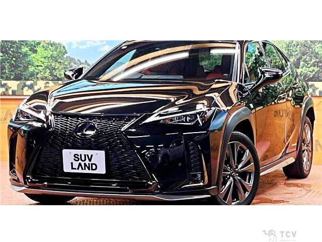 2019 Lexus Other