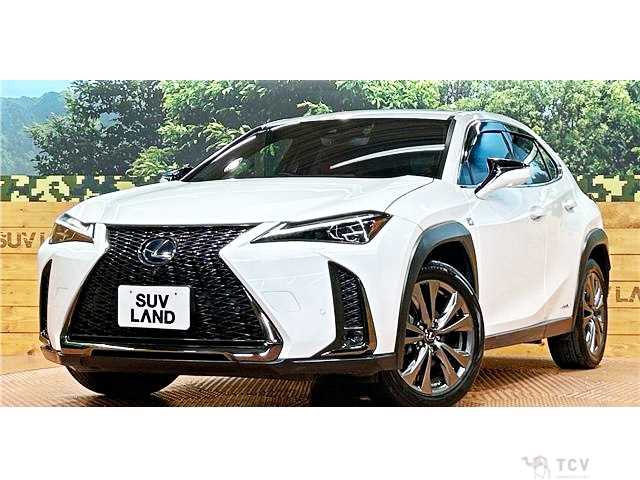 2019 Lexus Other
