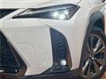 2019 Lexus Other