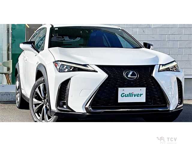 2019 Lexus Other