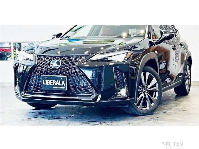 2019 Lexus Other