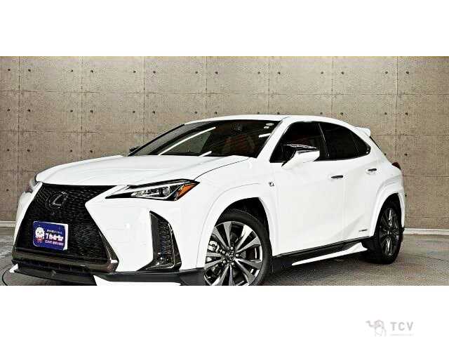 2019 Lexus Other