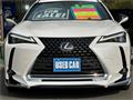 2019 Lexus Other