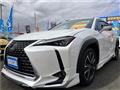 2019 Lexus Other