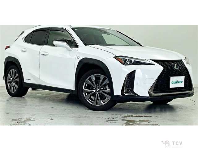 2019 Lexus Other