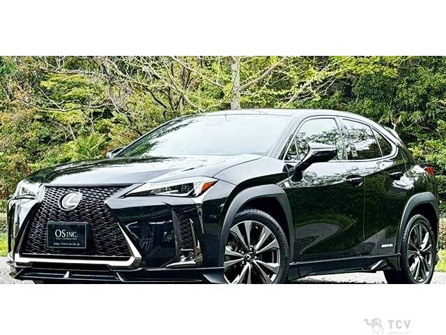 2019 Lexus Other