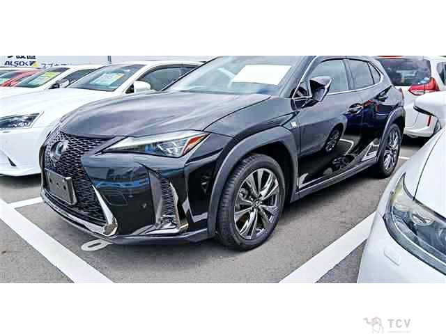 2019 Lexus Other