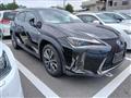 2019 Lexus Other