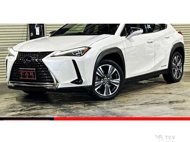 2021 Lexus Other