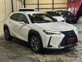 2021 Lexus Other