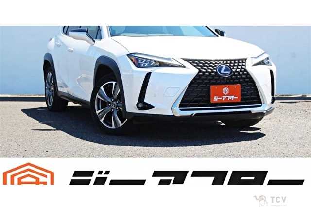 2021 Lexus Other