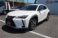 2021 Lexus Other