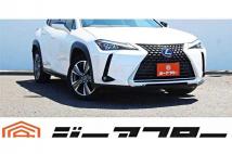 2021 Lexus Other