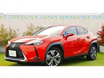 2021 Lexus Other