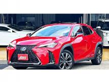 2021 Lexus Other