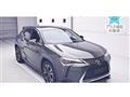 2021 Lexus Other