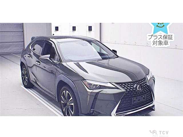 2021 Lexus Other