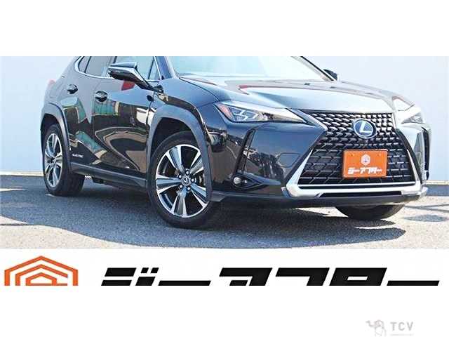 2021 Lexus Other