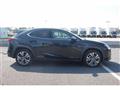 2021 Lexus Other