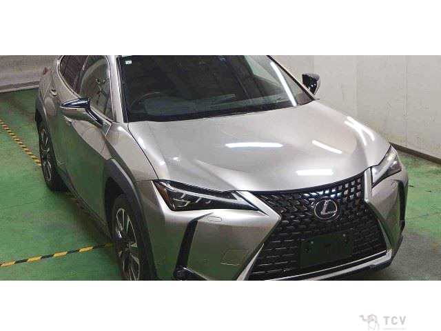2021 Lexus Other